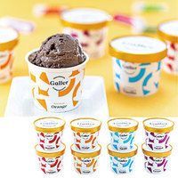 アイスクリーム・デザート　ガレー　プレミアムアイスクリーム8個セット